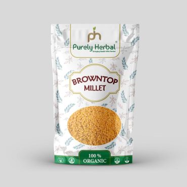 Brown Top Millet Grain